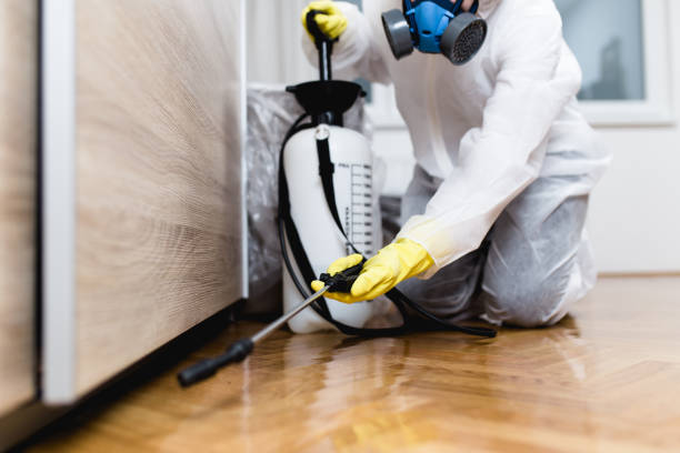 Best Termite Control Services  in Arcadia, IN