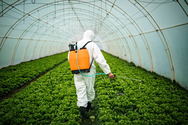 Best Local Pest Control Services  in Arcadia, IN