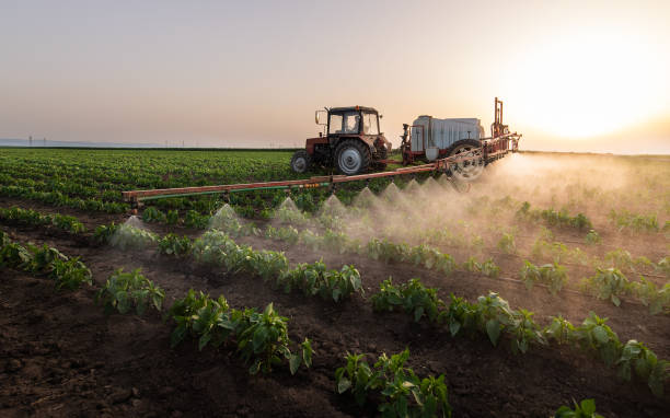 Best Commercial Pest Control Services  in Arcadia, IN