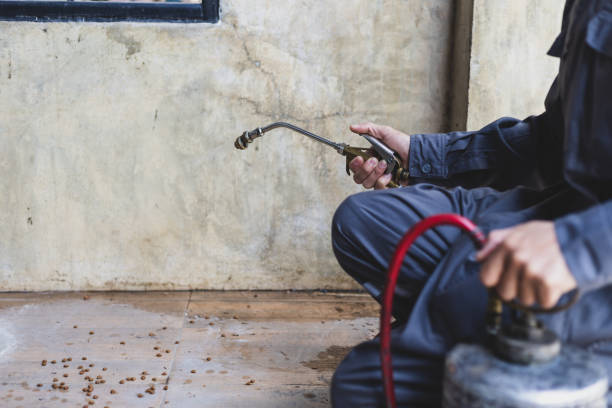 Best Affordable Pest Control Services  in Arcadia, IN