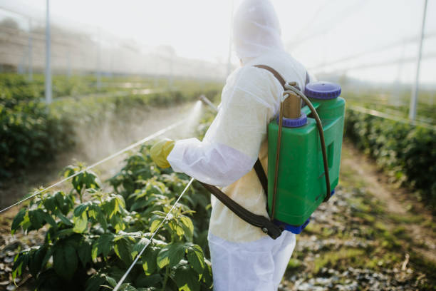 Best Wasp Removal Services  in Arcadia, IN